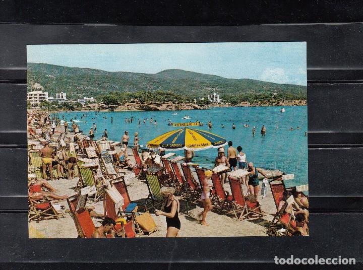 Postales: 88. MALLORCA. PALMA NOVA. PLAYA - Foto 1