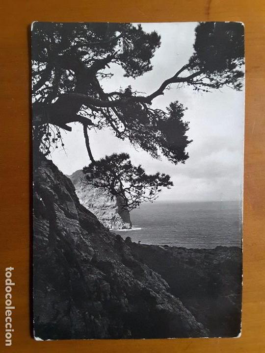 Postales: POSTAL 2073. MALLORCA - FORMENTOR - Foto 1