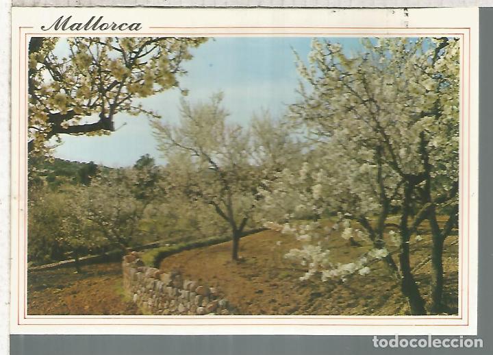 Postales: PALMA DE MALLORCA ESCRITA - Foto 1