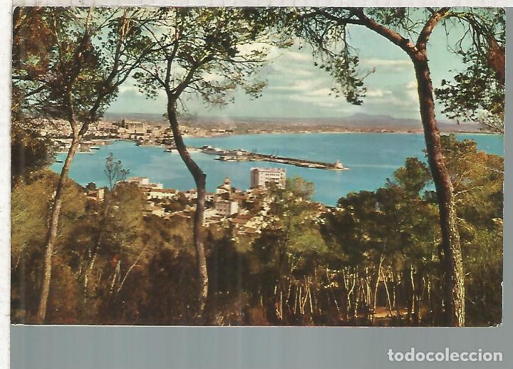 Postales: PALMA DE MALLORCA SIN ESCRIBIR - Foto 1