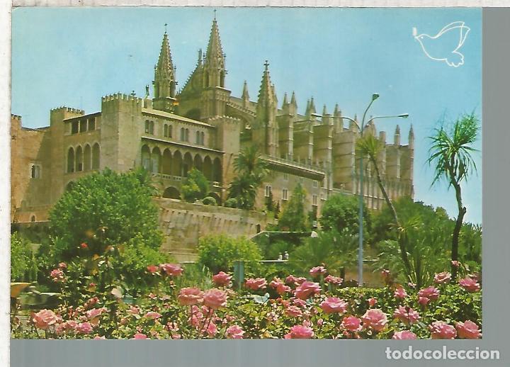 Postales: PALMA DE MALLORCA ESCRITA - Foto 1