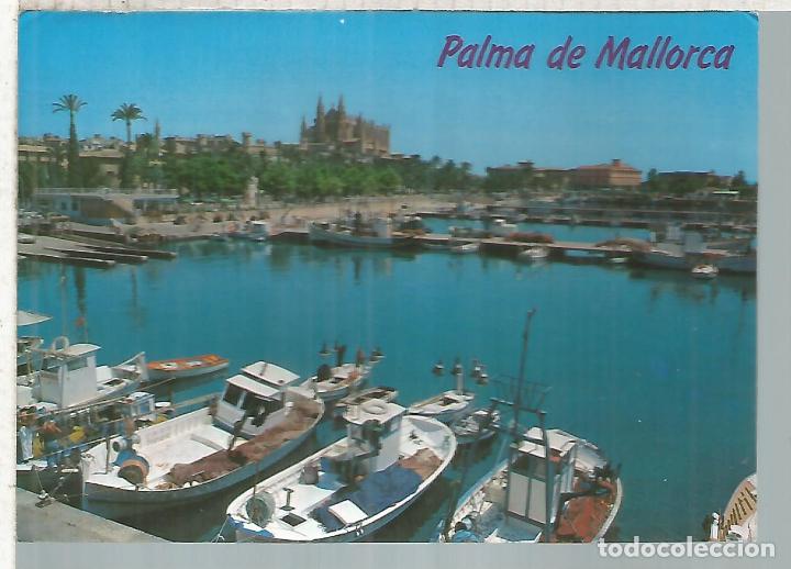 Postales: PALMA DE MALLORCA ESCRITA - Foto 1