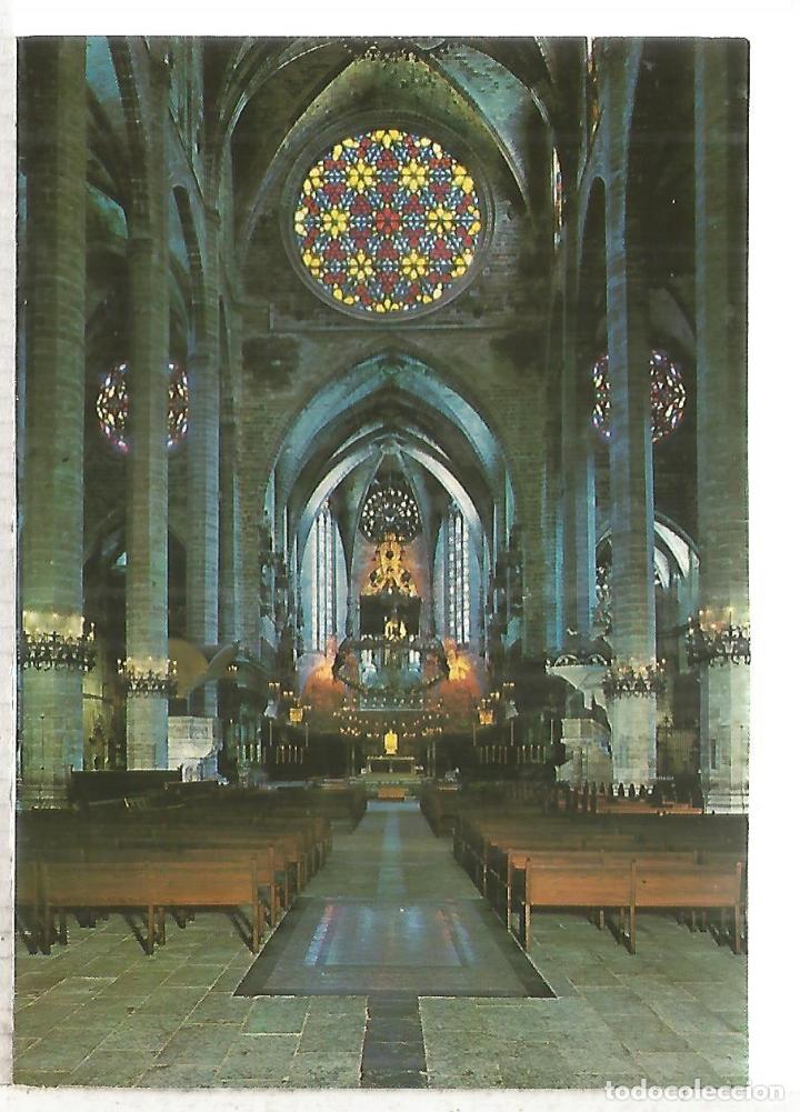 Postales: PALMA DE MALLORCA SIN ESCRIBIR - Foto 1