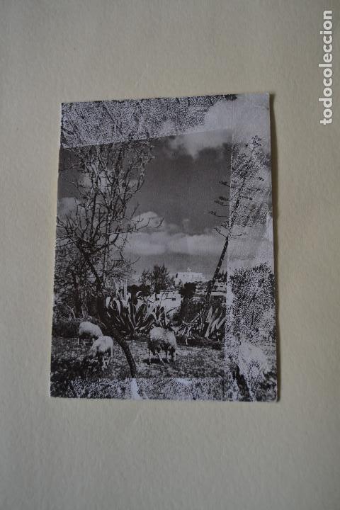 Postales: POSTAL IBICENCA ANTIGUA - Foto 1