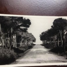 Postales: MALLORCA - CARRETERA DE ENTRADA CA'N PICAFORT- - FOTOPOSTAL -1951- CURSADA - MUY RARA