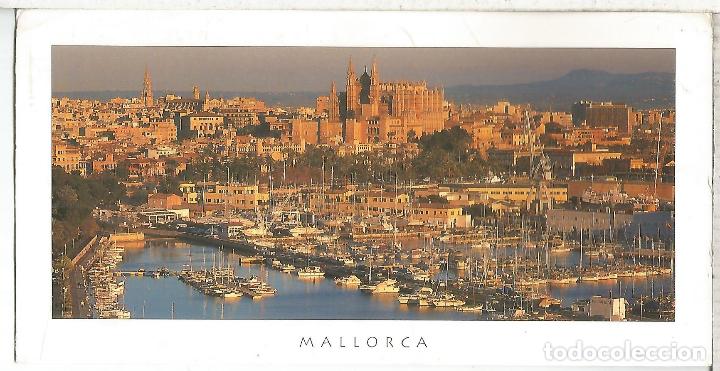 Postales: PALMA MALLORCA ESCRITA - Foto 1