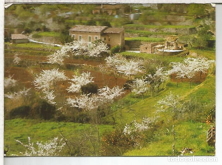 Postales: MALLORCA SIN ESCRIBIR - Foto 1