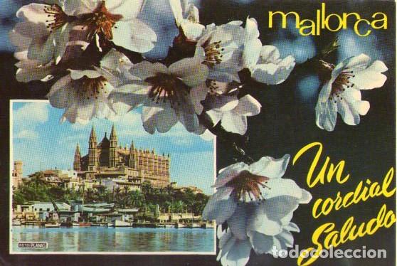 Postales: MALLORCA *** LA CATEDRAL *** POSTAL CIRCULADA - Foto 1