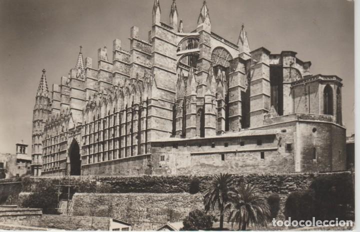 Postales: (219) MALLORCA. PALMA. LA CATEDRAL - Foto 1
