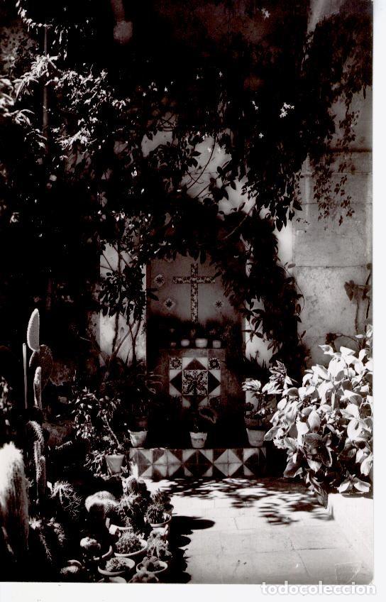 Postales: MALLORCA. VALLDEMOSA. JARDIN - Foto 1