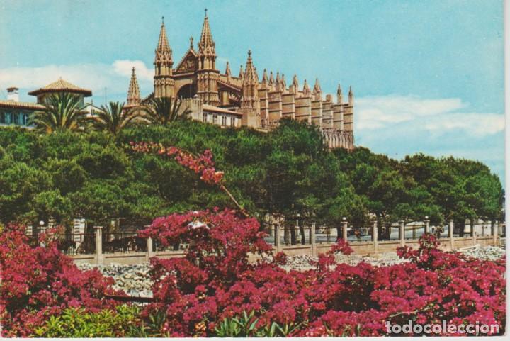 Postales: (1004) MALLORCA. PALMA . LA CATEDRAL - Foto 1