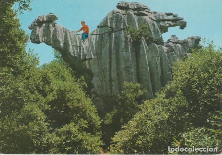 Postales: (462) MALLORCA. LLUCH. EL CAMELLO - Foto 1