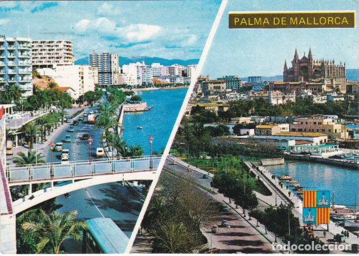 Postales: palma de mallorca, paseo maritimo y la catedral - Foto 1