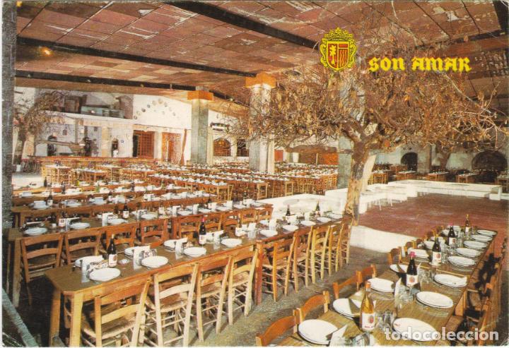 Postales: bu&ntilde;ola, predio son amar, mallorca - Foto 1
