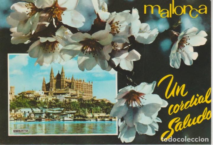 Postales: (1033) MALLORCA. PALMA. LA CATEDRAL - Foto 1