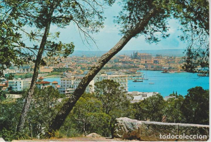 Postales: (775) MALLORCA. PALMA - Foto 1
