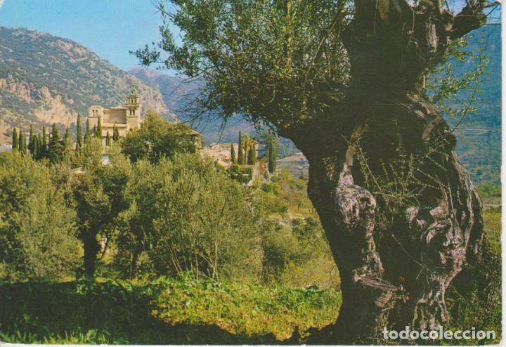Postales: (1226) MALLORCA. VALLDEMOSA - Foto 1