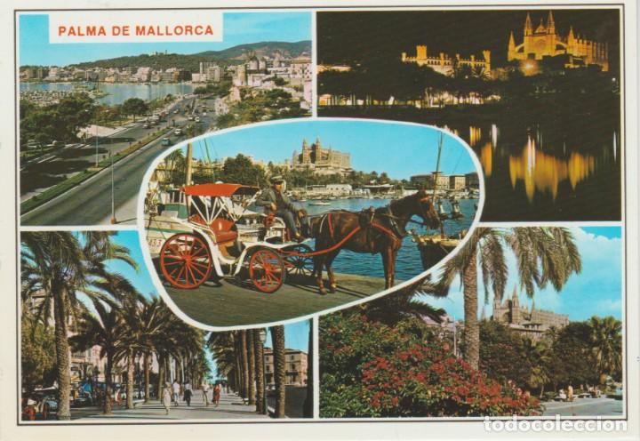 Postales: (2167) MALLORCA. PALMA. PASEO MARITIMO - Foto 1