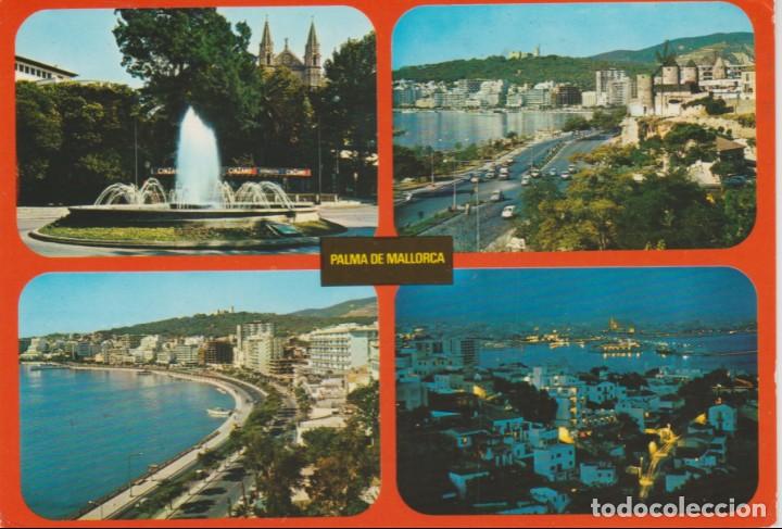 Postales: (146) MALLORCA. PALMA. PASEO MARITIMO - Foto 1