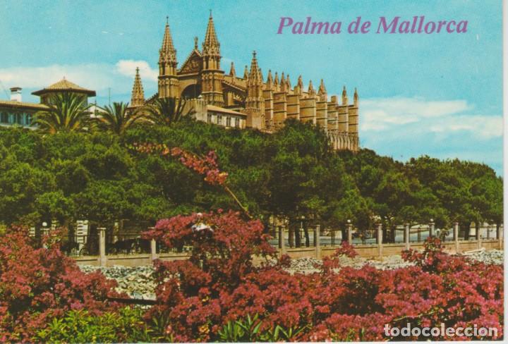 Postales: (1044) MALLORCA. PALMA. LA CATEDRAL - Foto 1