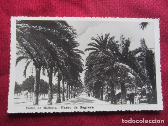 Postales: MALLORCA - PALMA - PASEO DE SAGRERA - Foto 1