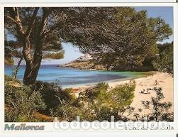 Postales: Postal Mallorca. Font de Sa Cala. ref. 73-158 - Foto 1