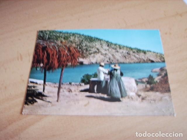 Postales: SANTA EULALIA DEL RIO -- IBIZA -- CALA LLONGA - Foto 1