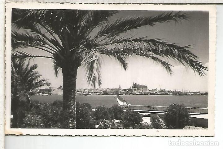 Postales: PALMA MALLORCA ESCRITA - Foto 1