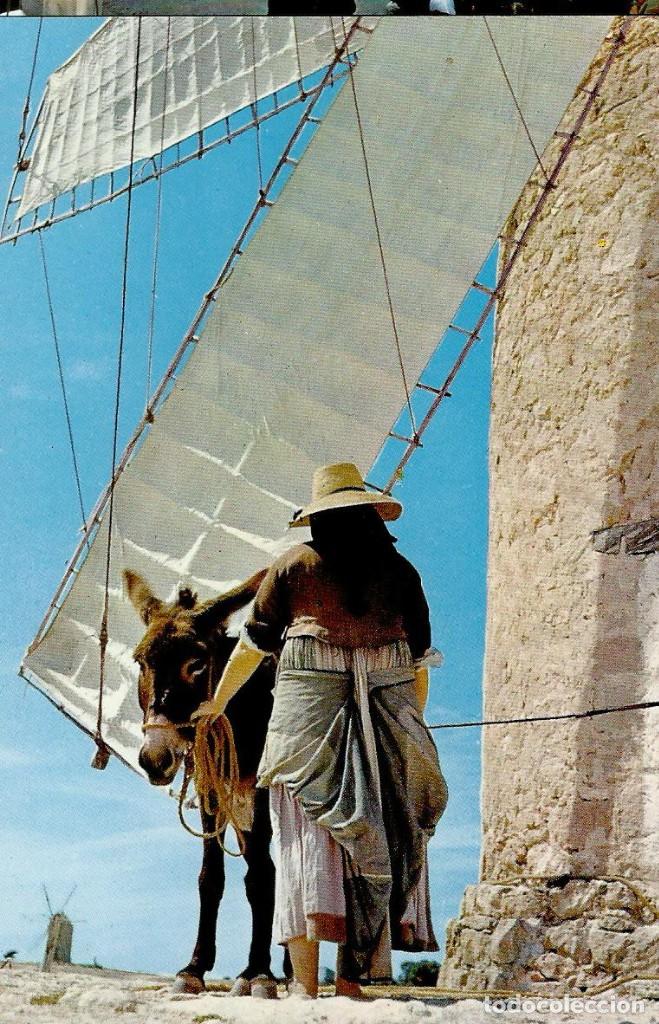 Postales: FORMENTERA. Al pie del Molino, 1962 - Foto 1