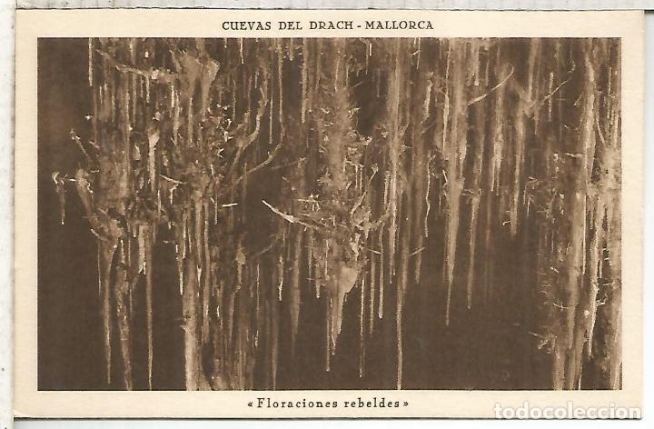 Postales: CUEVAS DEL DRACH MALLORCA SIN ESCRIBIR - Foto 1