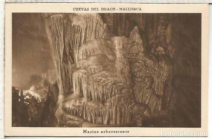 Postales: CUEVAS DEL DRACH MALLORCA SIN ESCRIBIR - Foto 1