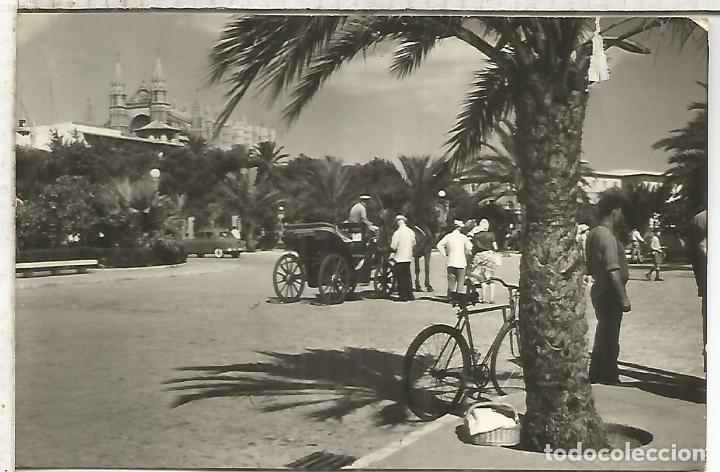 Postales: PALMA MALLORCA  ESCRITA - Foto 1
