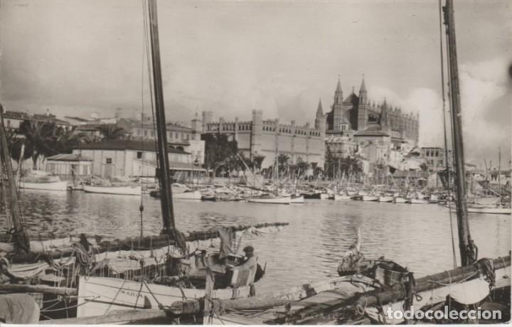 Postales: PALMA DE MALLORCA. LONJA Y CATEDRAL - Foto 1