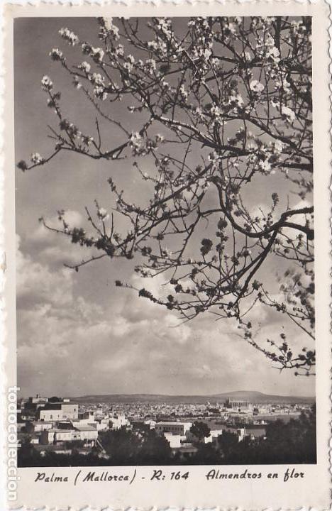 Postales: palma, mallorca, almendros en flor - Foto 1