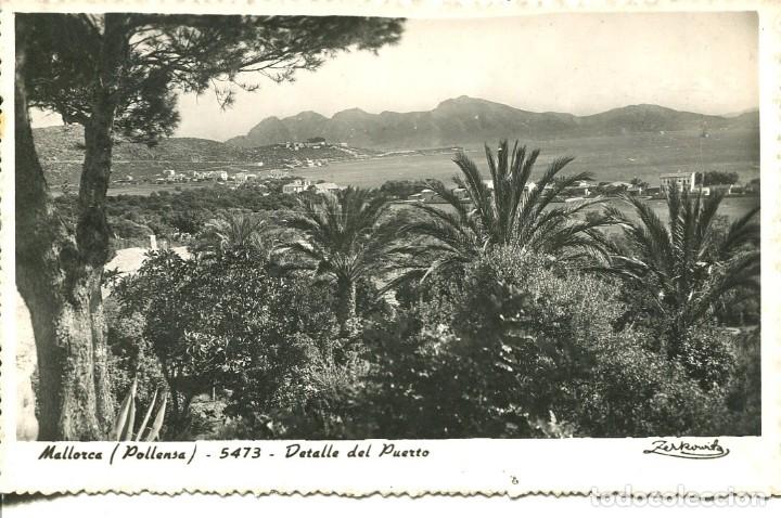 Postales: POLLENSA-DETALLE DEL PUERTO- ZERKOWITZ 5473