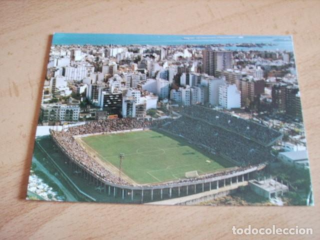 Postales: MALLORCA  --  CAMPO  LUIS SITJAR - Foto 1