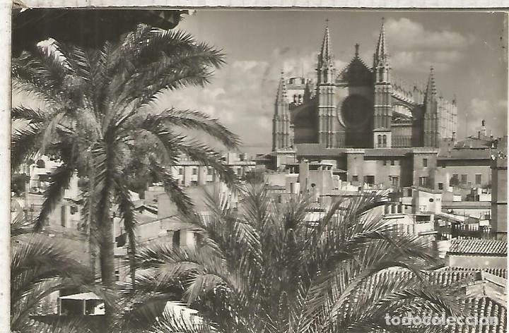 Postales: MALLORCA CATEDRAL ESCRITA - Foto 1