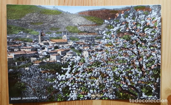 Postales: Soller Mallorca 585 Soller con almendros en flor Ed. Zerkowitz - Foto 1