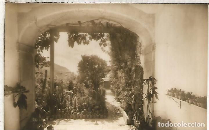 Postais: VALLDEMOSA CARTUJA SIN ESCRIBIR