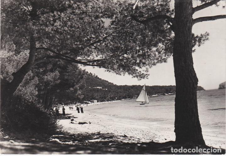 Postales: mallorca, playa de formento - Foto 1
