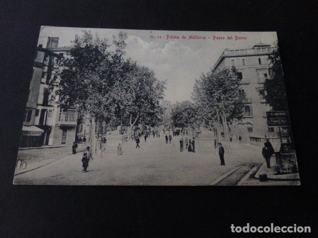 Postales: PALMA DE MALLORCA PASEO DEL BORNE - Foto 1