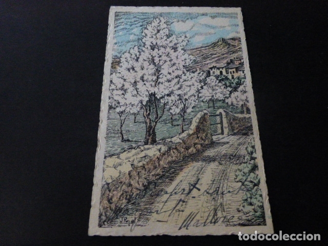 Postales: PALMA DE MALLORCA ALMENDROS EN FLOR - Foto 1