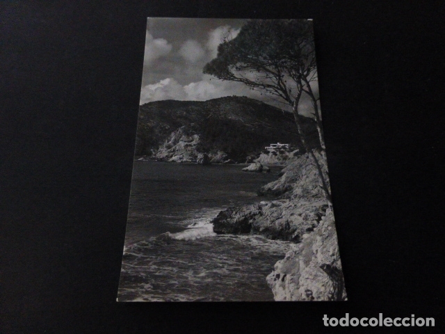 Postales: MALLORCA CAMP DE MAR - Foto 1