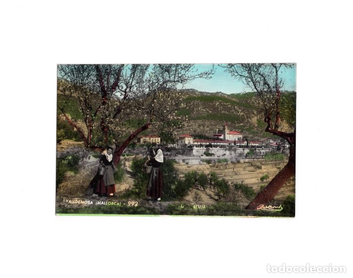 Postales: VALLDEMOSA.- LA CARTUJA. ZERKOWITZ - Foto 1
