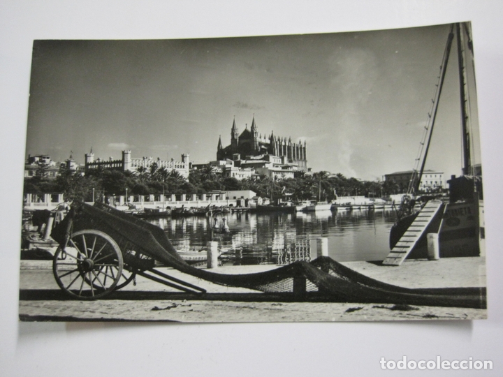 Postais: MALLORCA-CATEDRAL Y LONJA-VER FOTOS-(60.303)