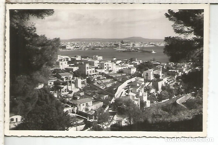 Postales: PALMA MALLORCA  SIN ESCRIBIR - Foto 1