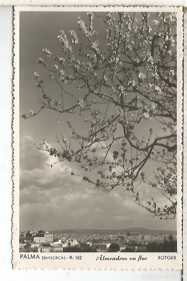Postales: BALEARES PALMA MALLORCA ESCRITA - Foto 1
