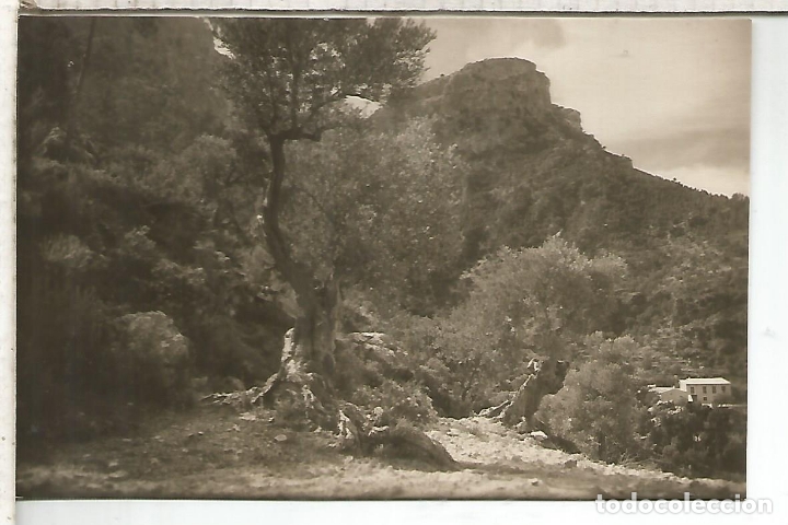 Cartoline: BALEARES  MALLORCA DEYA SIN ESCRIBIR