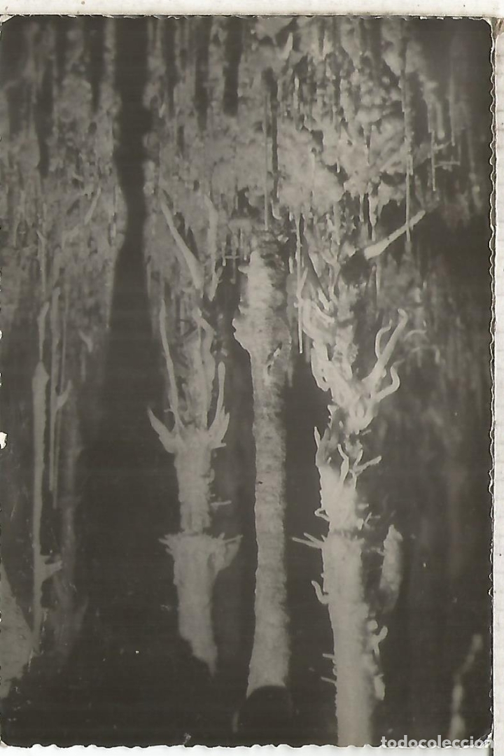 Postales: MALLORCA CUEVAS DEL HAMS ESCRITA - Foto 1