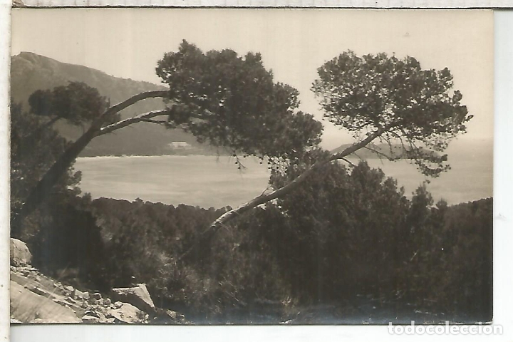 Postales: MALLORCA FORMENTOR SIN ESCRIBIR - Foto 1